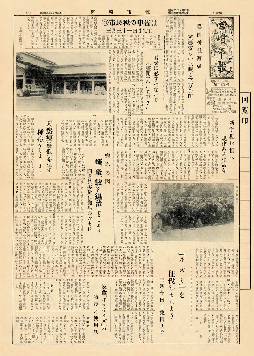 宮崎市報　129号　1955年3月号の表紙画像