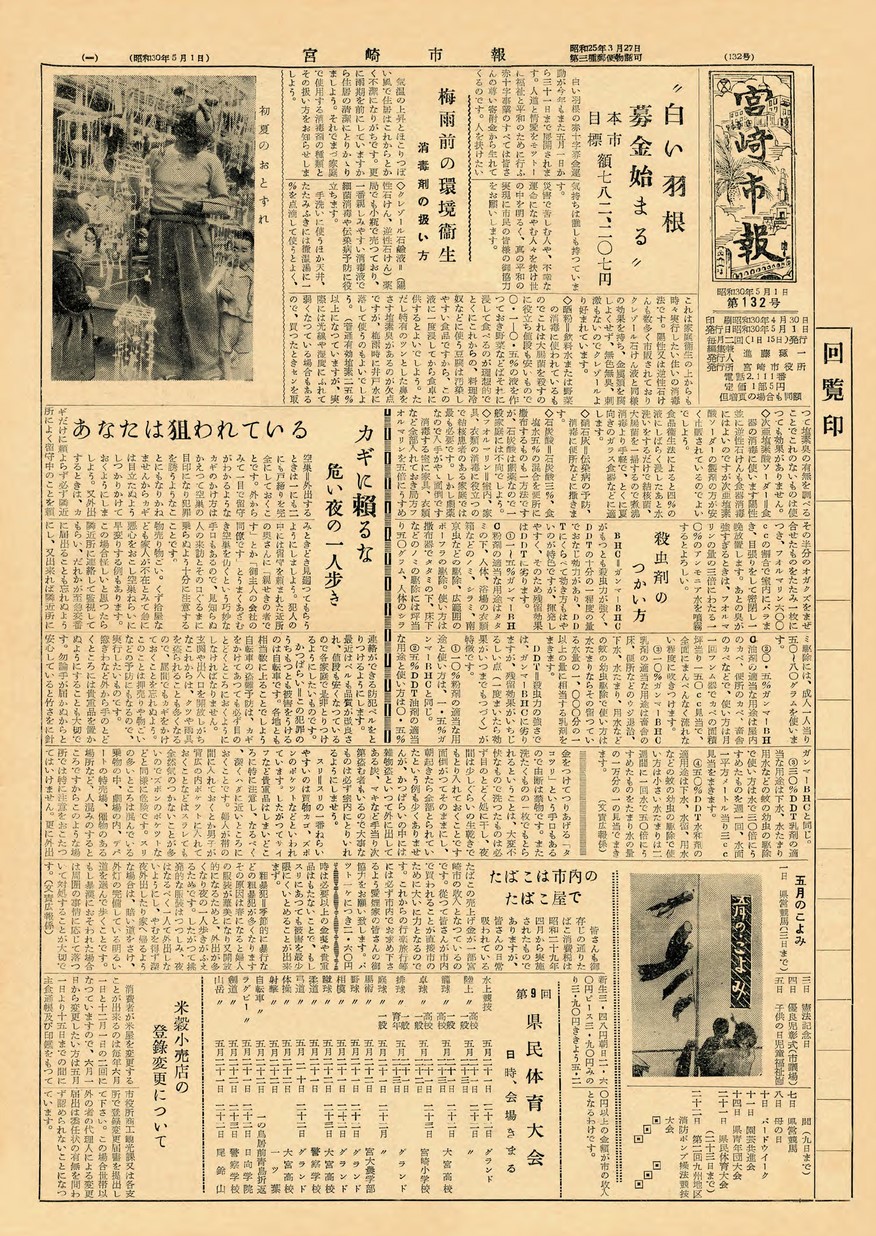 宮崎市報　132号　1955年5月号の表紙画像
