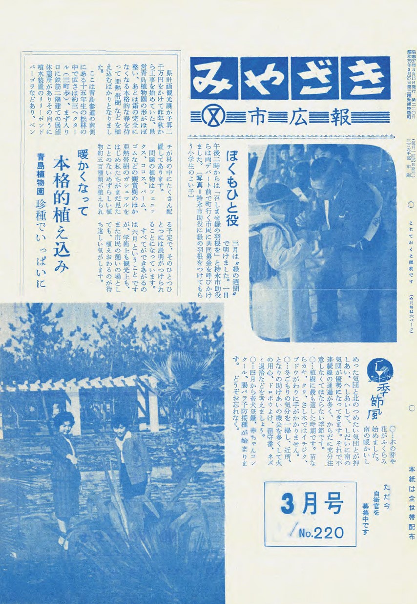 みやざき市広報　220号　1962年3月号の表紙画像