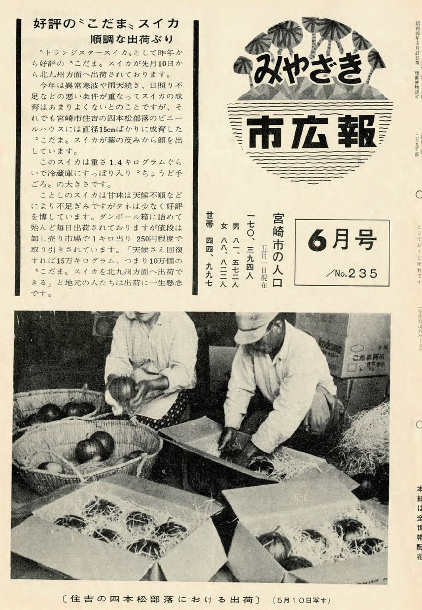 みやざき市広報　235号　1963年6月号の表紙画像