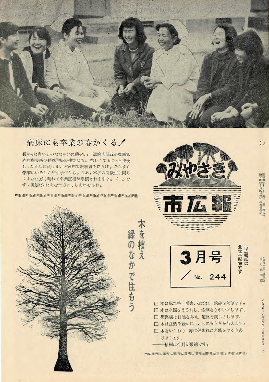 みやざき市広報　244号　1964年3月号の表紙画像