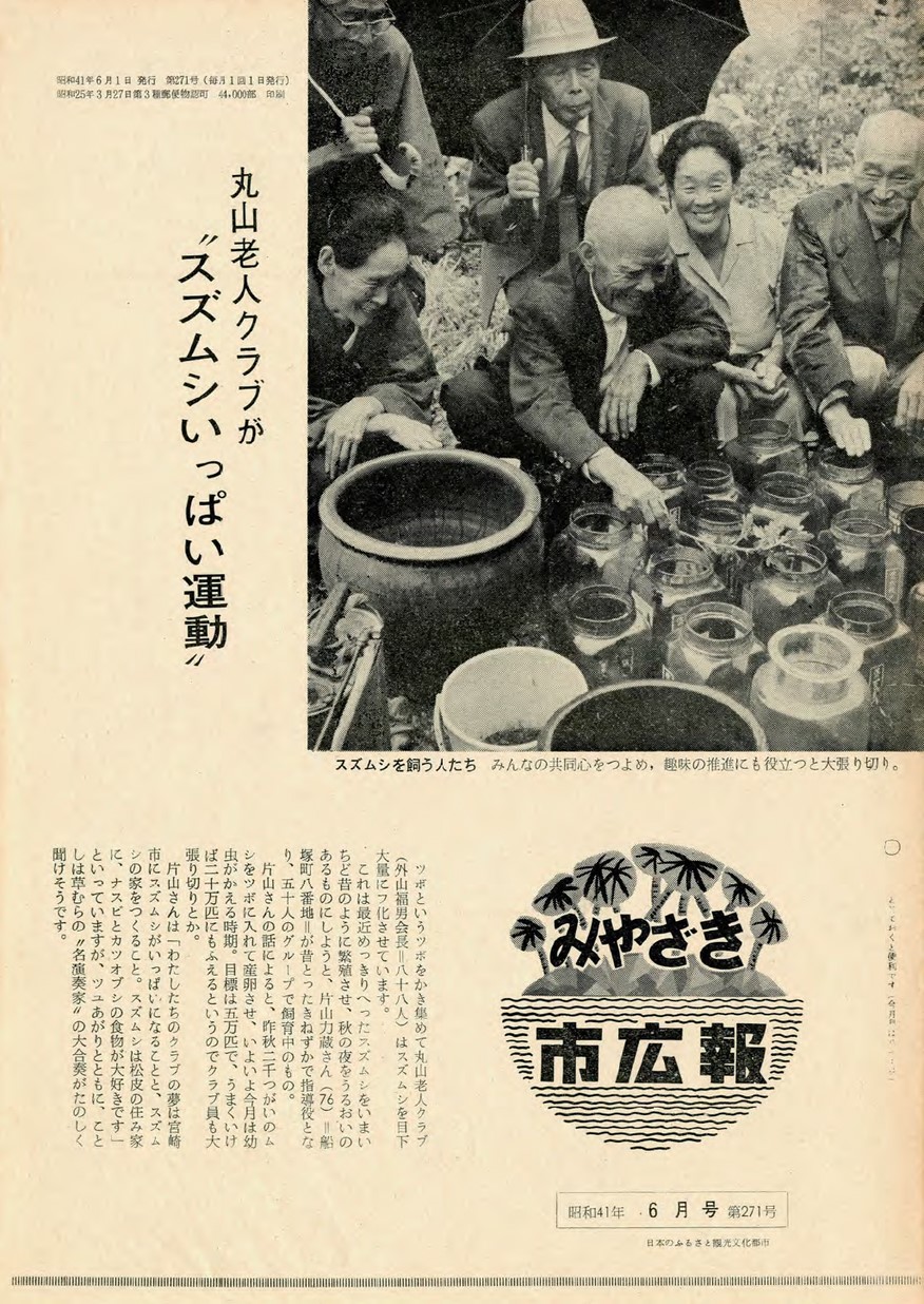みやざき市広報　271号　1966年6月号の表紙画像