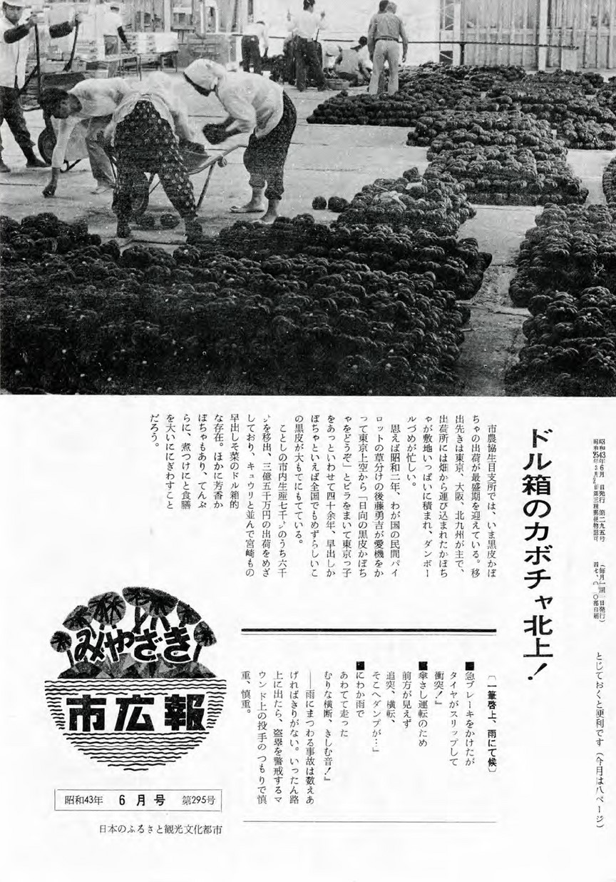 みやざき市広報　295号　1968年6月号の表紙画像