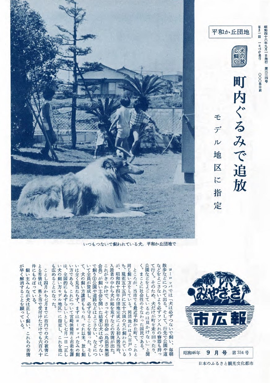 みやざき市広報　334号　1971年9月号の表紙画像